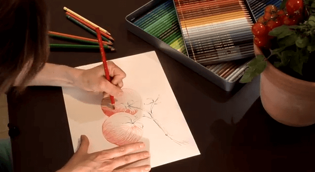 ARTIST PABLO 40 colores - Caran d'Ache Colombia